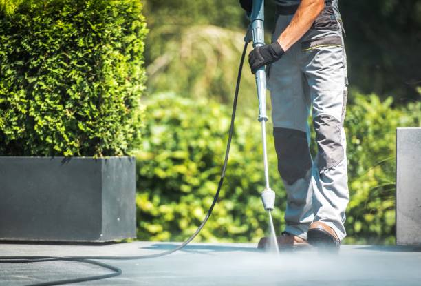 Best Fence Cleaning  in Springfield, CO